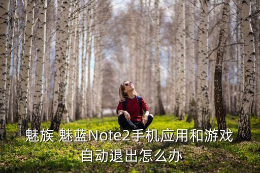 魅族 魅藍(lán)Note2手機(jī)應(yīng)用和游戲 自動退出怎么辦