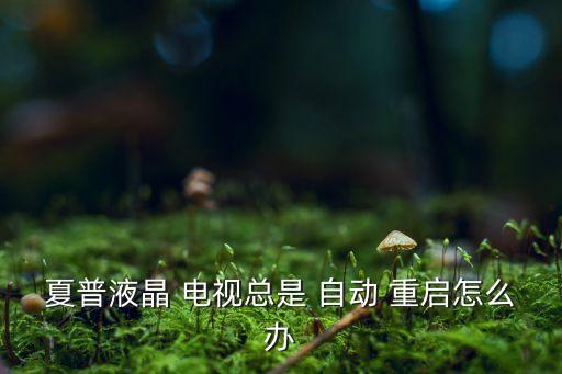 夏普液晶 電視總是 自動(dòng) 重啟怎么辦
