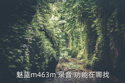 魅藍自動錄音功能,魅族note3自帶錄音機功能