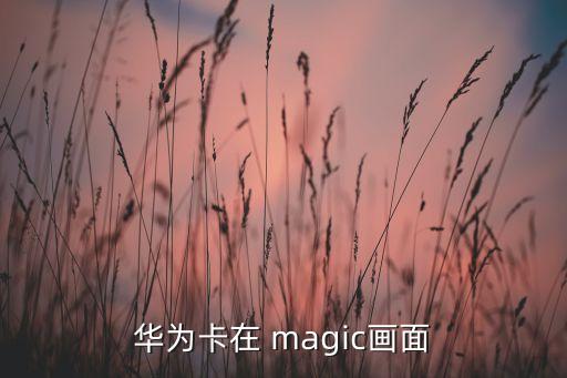 華為卡在 magic畫面
