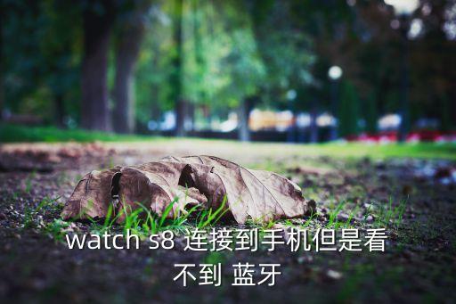 watch s8 連接到手機(jī)但是看不到 藍(lán)牙