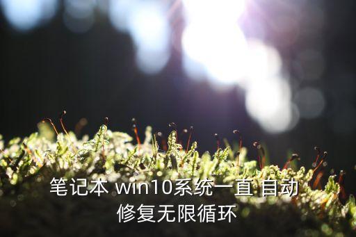 筆記本 win10系統(tǒng)一直 自動(dòng) 修復(fù)無(wú)限循環(huán)
