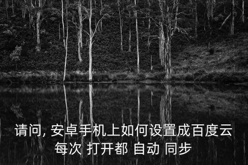 請問, 安卓手機上如何設(shè)置成百度云每次 打開都 自動 同步