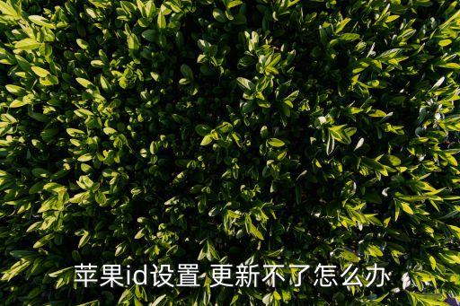  蘋果id設(shè)置 更新不了怎么辦