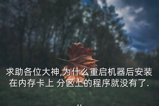 求助各位大神,為什么重啟機(jī)器后安裝在內(nèi)存卡上 分區(qū)上的程序就沒(méi)有了...