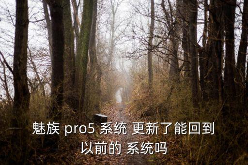 魅族 pro5 系統(tǒng) 更新了能回到以前的 系統(tǒng)嗎
