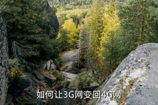 如何讓3G網(wǎng)變回4G網(wǎng)