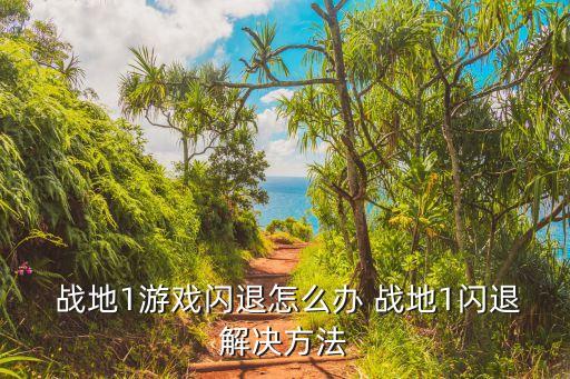  戰(zhàn)地1游戲閃退怎么辦 戰(zhàn)地1閃退解決方法