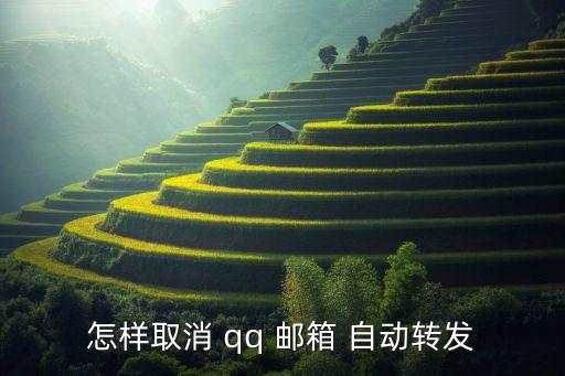 qq郵箱 自動標簽,點擊新建標簽或標簽管理