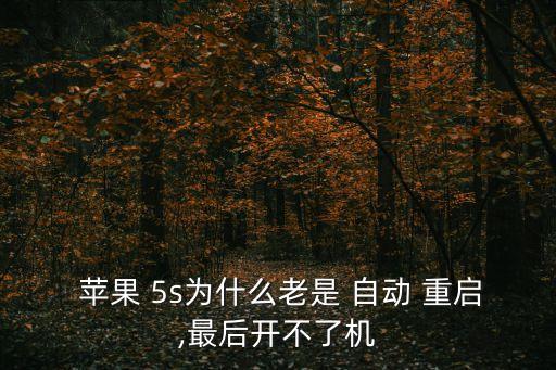  蘋果 5s為什么老是 自動(dòng) 重啟,最后開不了機(jī)