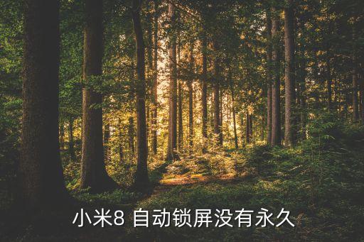  小米8 自動鎖屏沒有永久