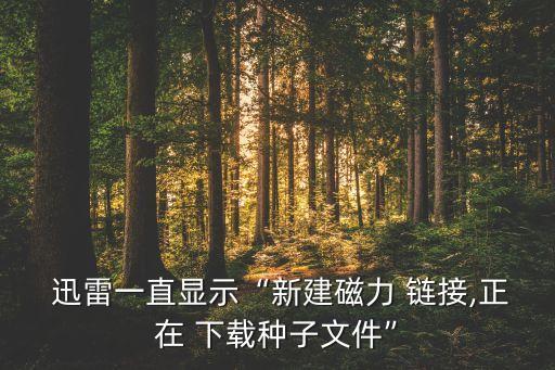  迅雷一直顯示“新建磁力 鏈接,正在 下載種子文件”