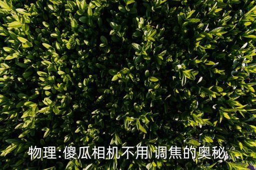 物理:傻瓜相機(jī)不用 調(diào)焦的奧秘