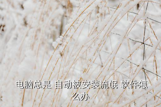 電腦自動(dòng)安裝軟件教程,如何安裝電腦軟件管家?