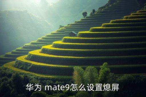 華為 mate9怎么設(shè)置熄屏