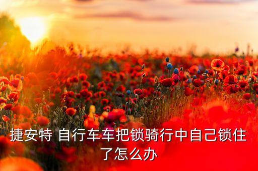 捷安特 自行車車把鎖騎行中自己鎖住了怎么辦