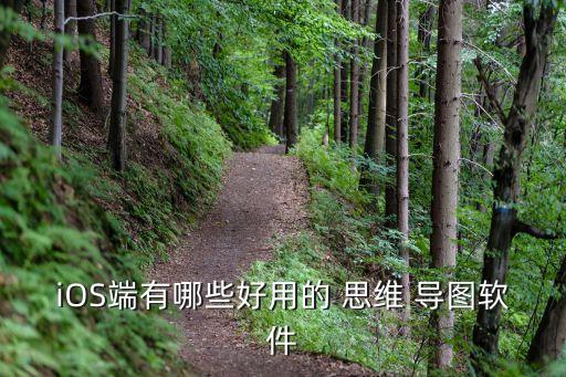 iOS端有哪些好用的 思維 導(dǎo)圖軟件