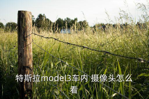 自動(dòng)駕駛 攝像頭