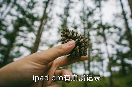 ipad pro自動(dòng)關(guān)機(jī)