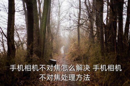  手機(jī)相機(jī)不對(duì)焦怎么解決 手機(jī)相機(jī)不對(duì)焦處理方法