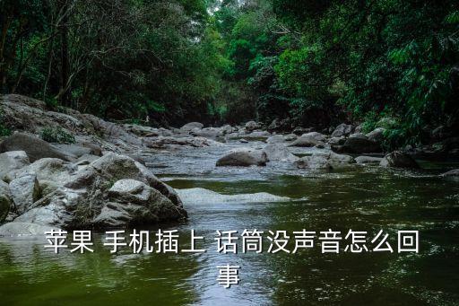 蘋果手機(jī)話筒自動(dòng)清理,手機(jī)聲音低怎么辦?可以這樣做!