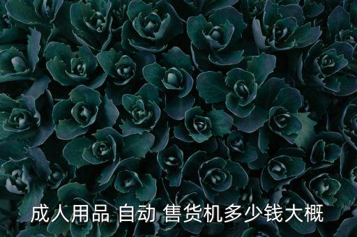 成人用品 自動(dòng) 售貨機(jī)多少錢大概