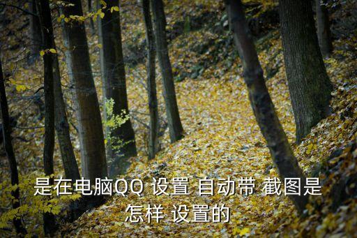 是在電腦QQ 設(shè)置 自動帶 截圖是怎樣 設(shè)置的