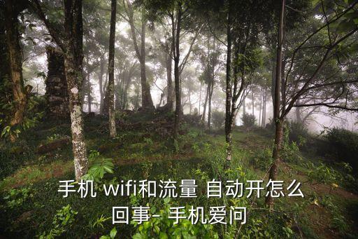 手機(jī) wifi和流量 自動(dòng)開怎么回事– 手機(jī)愛問