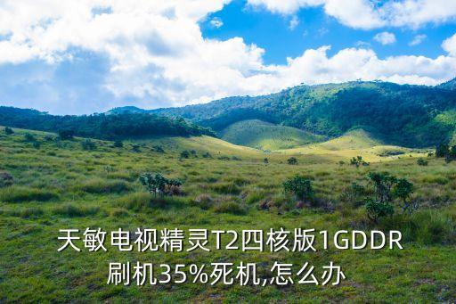  天敏電視精靈T2四核版1GDDR刷機35%死機,怎么辦