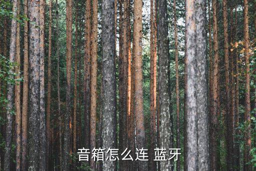  音箱怎么連 藍(lán)牙