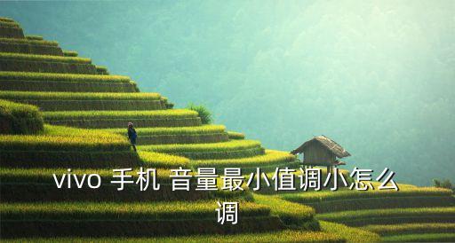 ivvi手機音量自動最小
