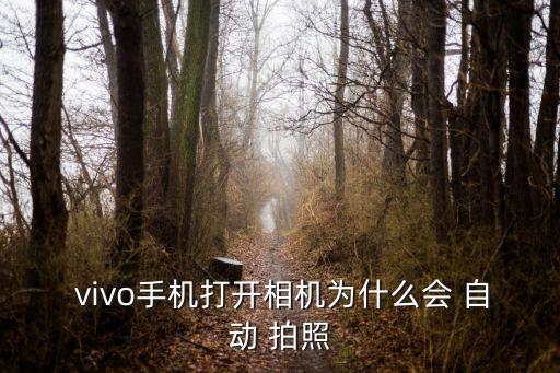 vivo自動拍照怎么關閉,vivos9如何解鎖對焦和曝光?