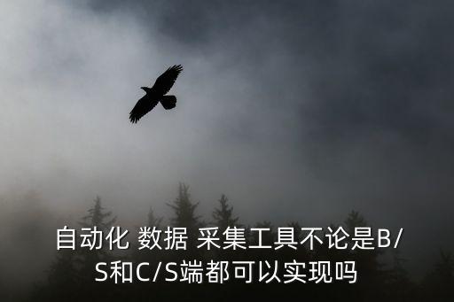  自動化 數(shù)據(jù) 采集工具不論是B/S和C/S端都可以實現(xiàn)嗎