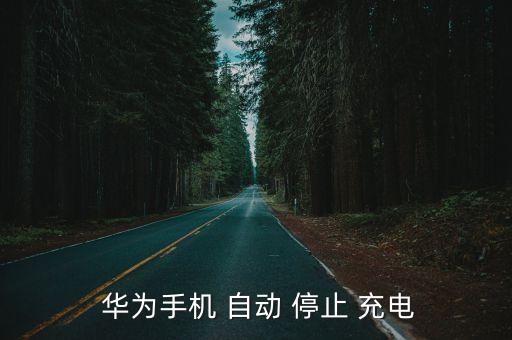 華為會自動停止充電,華為手機(jī)充電不能達(dá)100%時會自動停電