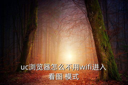  uc瀏覽器怎么不用wifi進入 看圖 模式