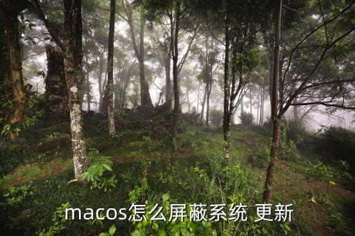 macos 自動更新,關(guān)閉mac的自動更新怎么辦?