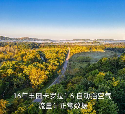 16年豐田卡羅拉1.6 自動擋空氣 流量計正常數(shù)據(jù)
