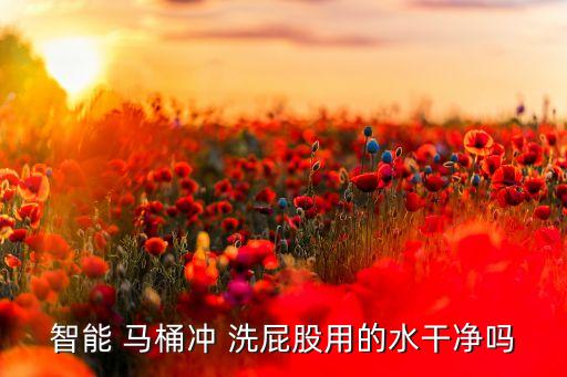 智能 馬桶沖 洗屁股用的水干凈嗎
