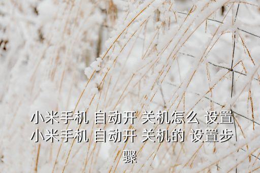 小米6自動(dòng)開(kāi)關(guān)機(jī)怎么設(shè)置在哪,小米手機(jī)自動(dòng)on關(guān)機(jī)怎么用?