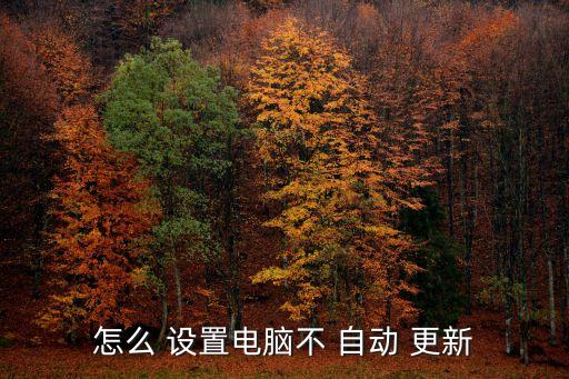 怎么 設(shè)置電腦不 自動(dòng) 更新