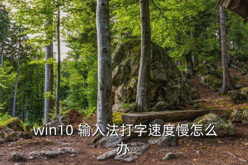  win10 輸入法打字速度慢怎么辦