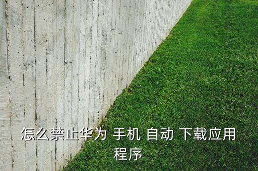 怎么禁止華為 手機(jī) 自動(dòng) 下載應(yīng)用程序