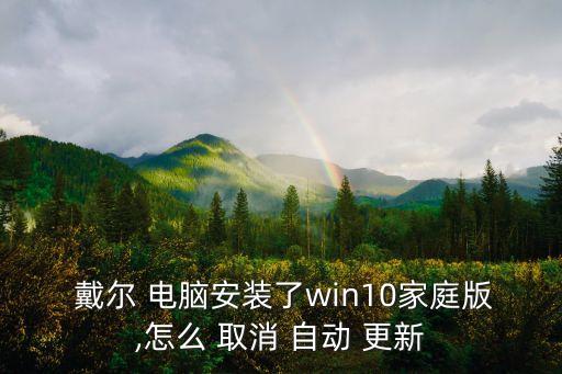  戴爾 電腦安裝了win10家庭版,怎么 取消 自動 更新
