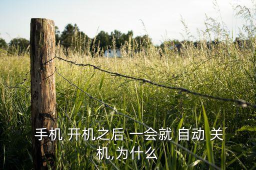 手機(jī)開(kāi)機(jī)一會(huì)自動(dòng)關(guān)機(jī),如何關(guān)閉手機(jī)自動(dòng)開(kāi)機(jī)和自動(dòng)關(guān)機(jī)?
