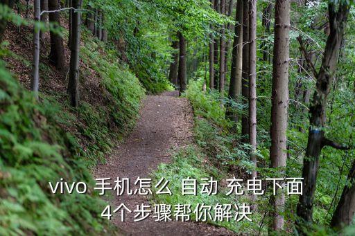 幫手機自動充電嗎,otg數(shù)據(jù)線連接手機等設備加快充電速度