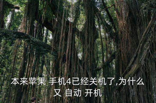 手機(jī)突然關(guān)了又自動(dòng)開(kāi)機(jī),手機(jī)應(yīng)如何自動(dòng)開(kāi)關(guān)機(jī)?
