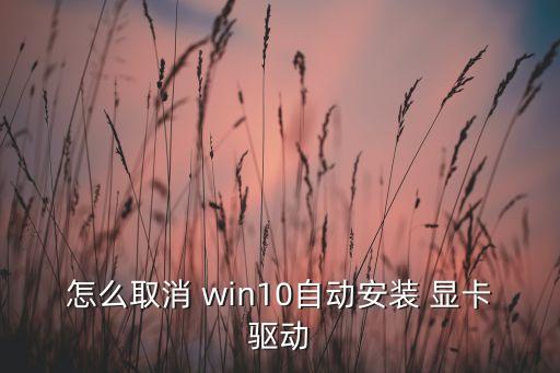 怎么取消 win10自動(dòng)安裝 顯卡驅(qū)動(dòng)