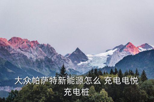 大眾自動充電機(jī)器,國產(chǎn)大眾邁騰carplay不能用安卓手機(jī)