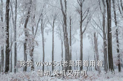 vivox5sl自動關(guān)機,如何進行手機維修?