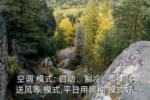 除濕模式自動模式,空調(diào)選擇自動模式:暖氣模式除濕模式